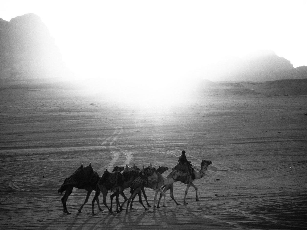 White Desert Camp Ουάντι Ραμ Εξωτερικό φωτογραφία